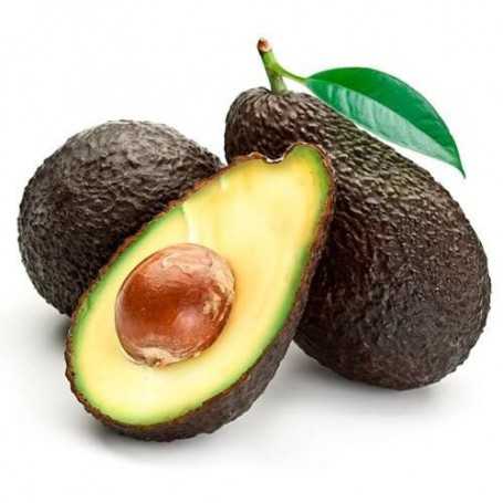 Avocado Hass